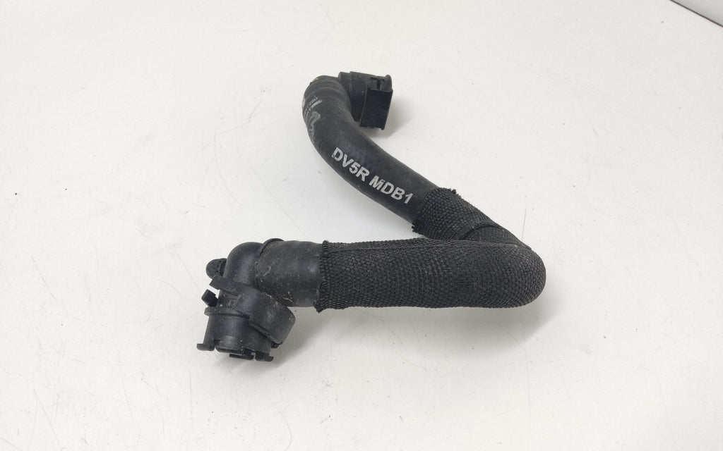 Immagine 3