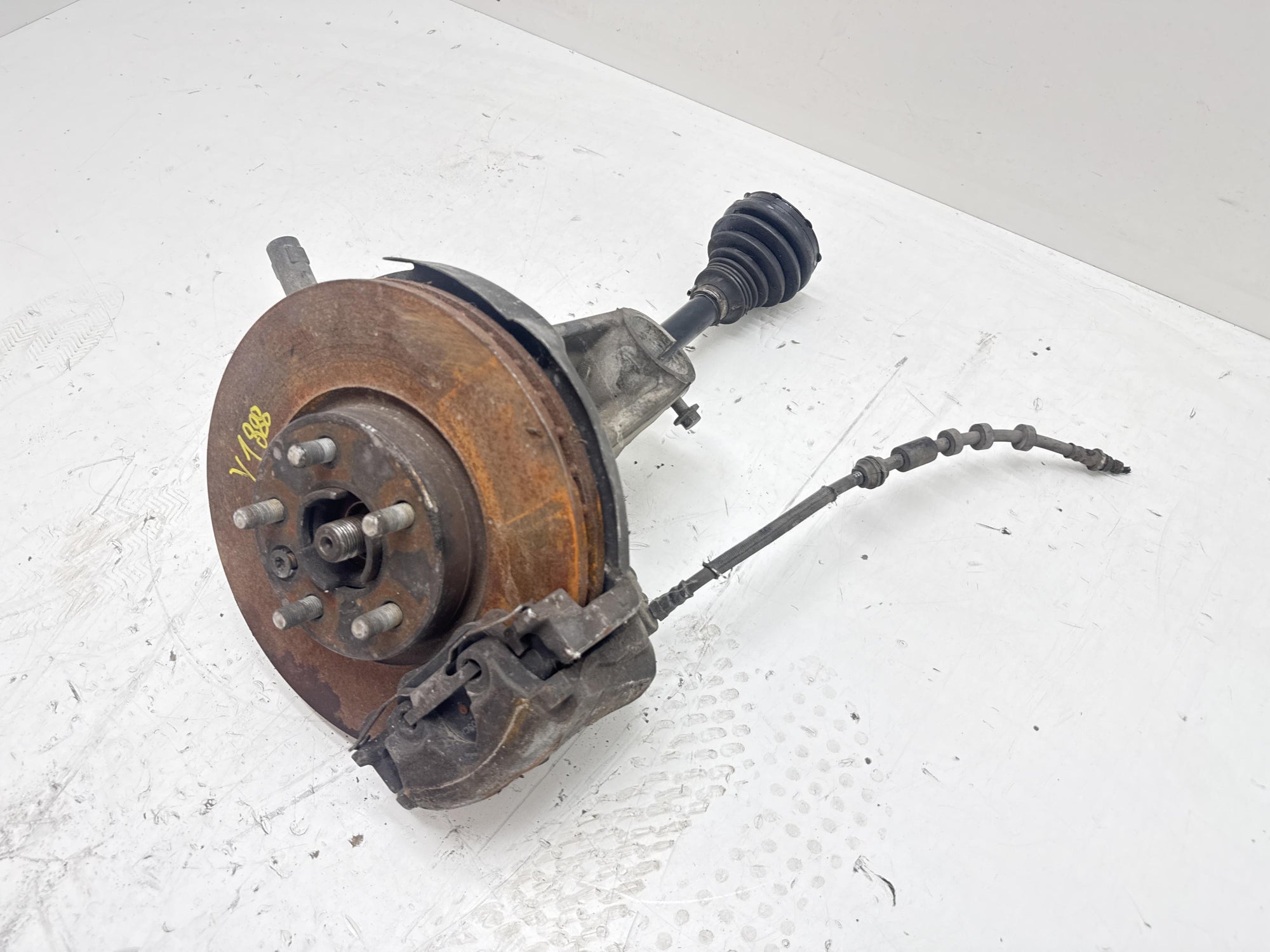 Immagine 3