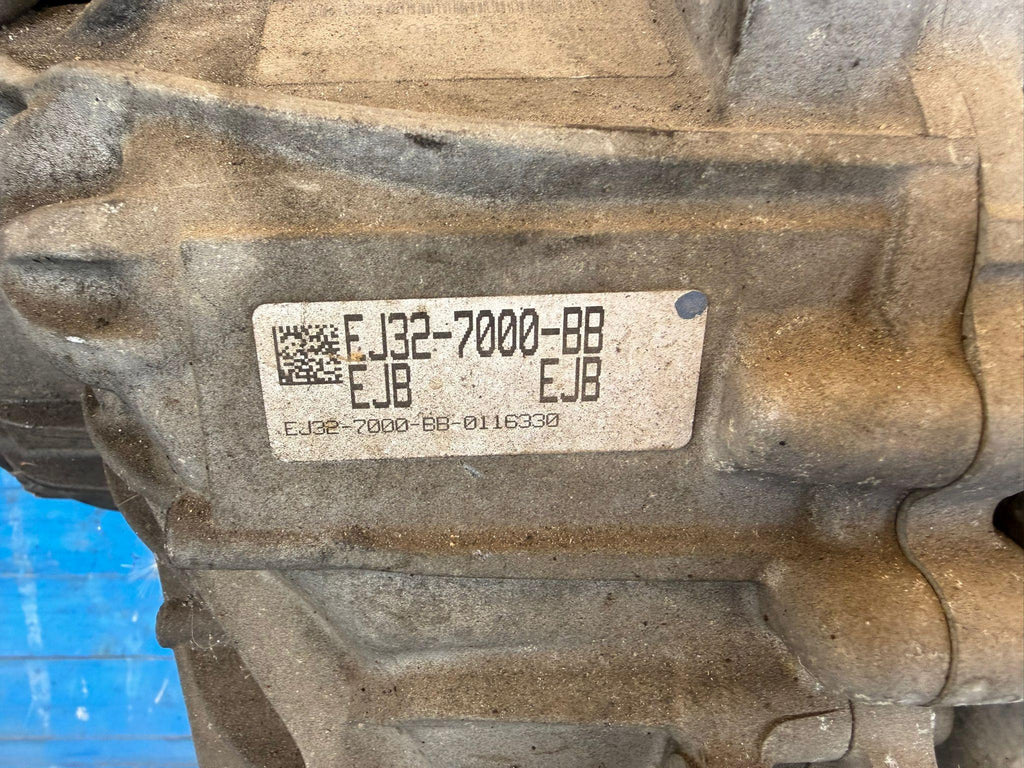 Immagine 12