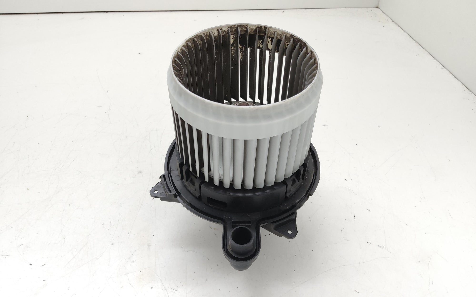 Immagine 1