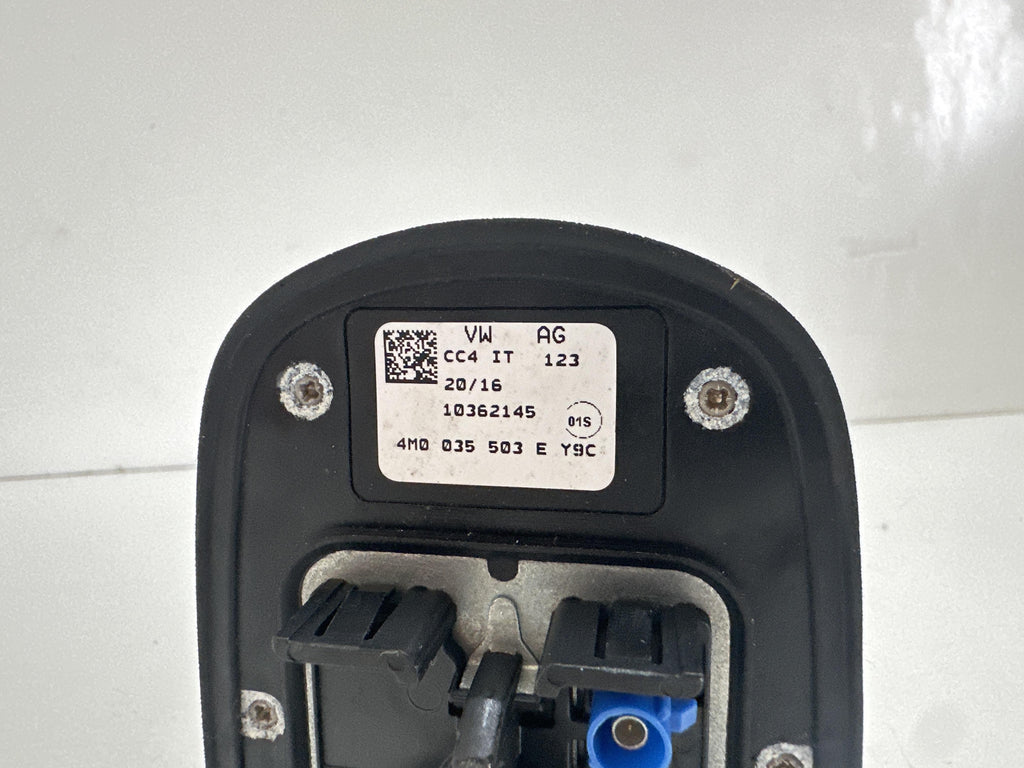 Immagine 7