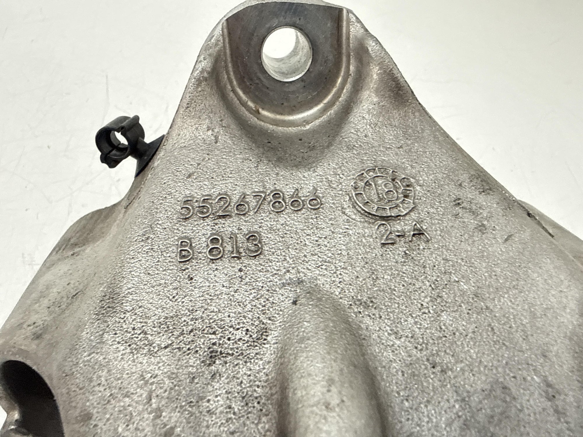 Immagine 7
