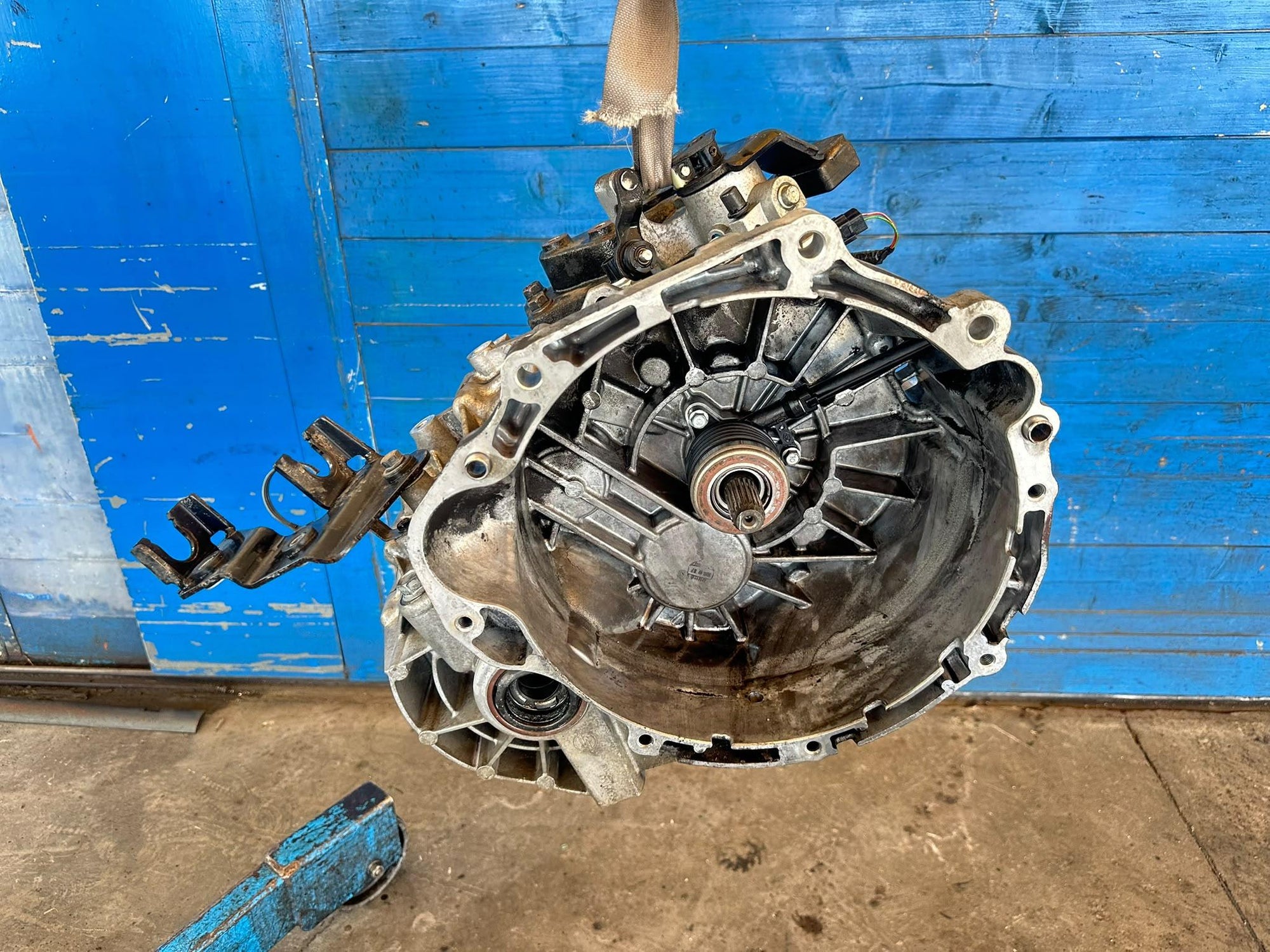 Immagine 1