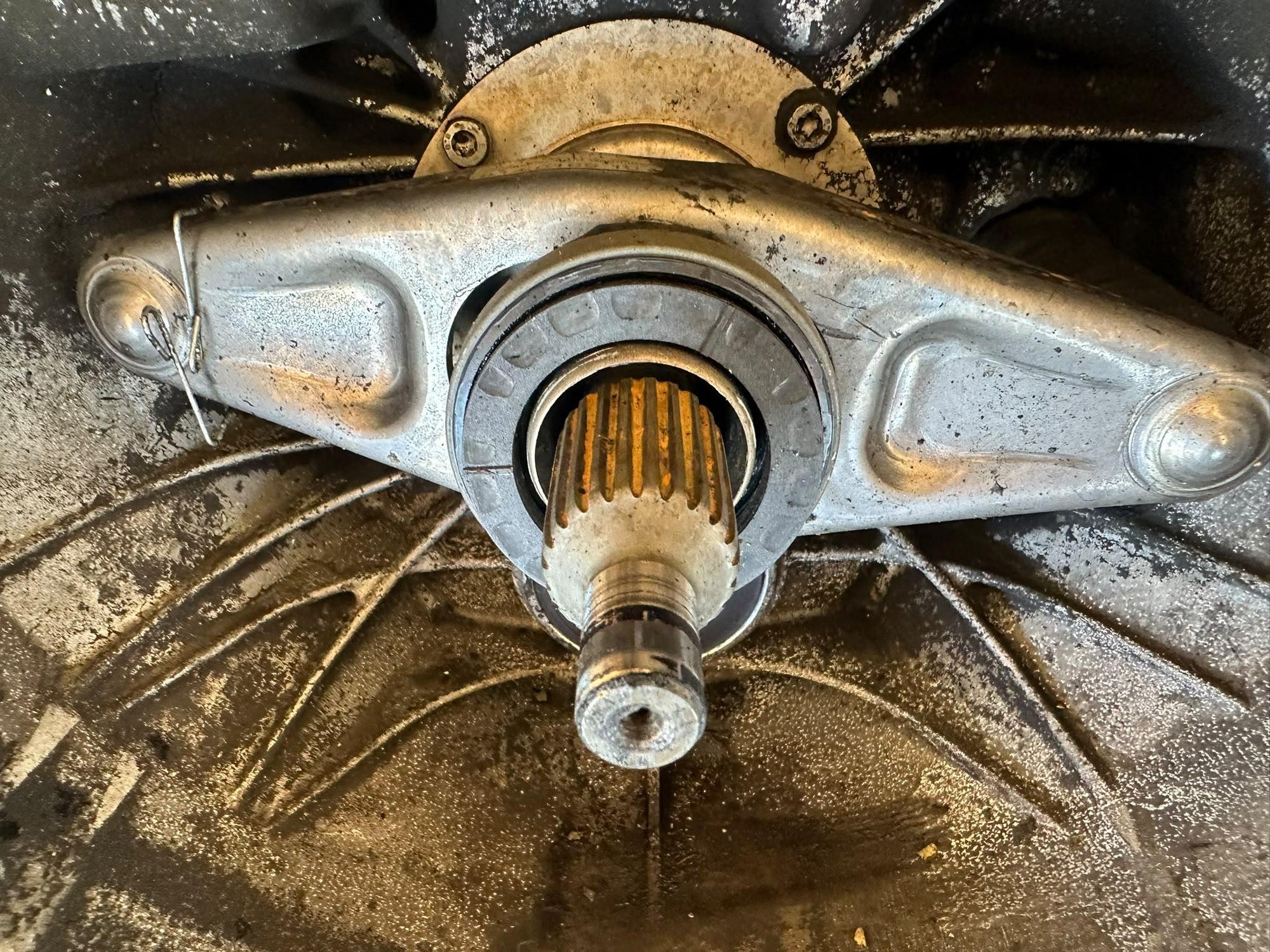 Immagine 2