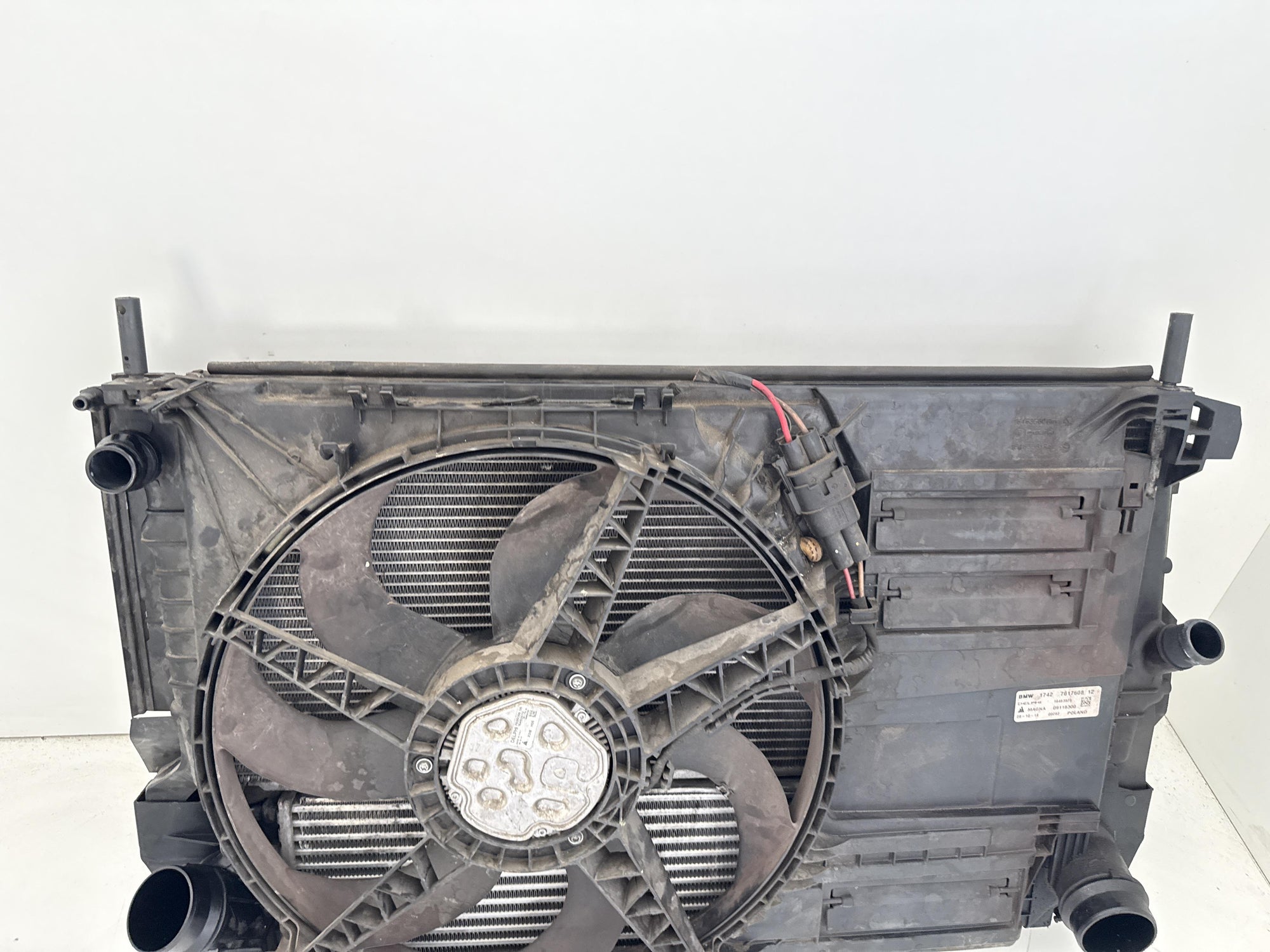 Immagine 9