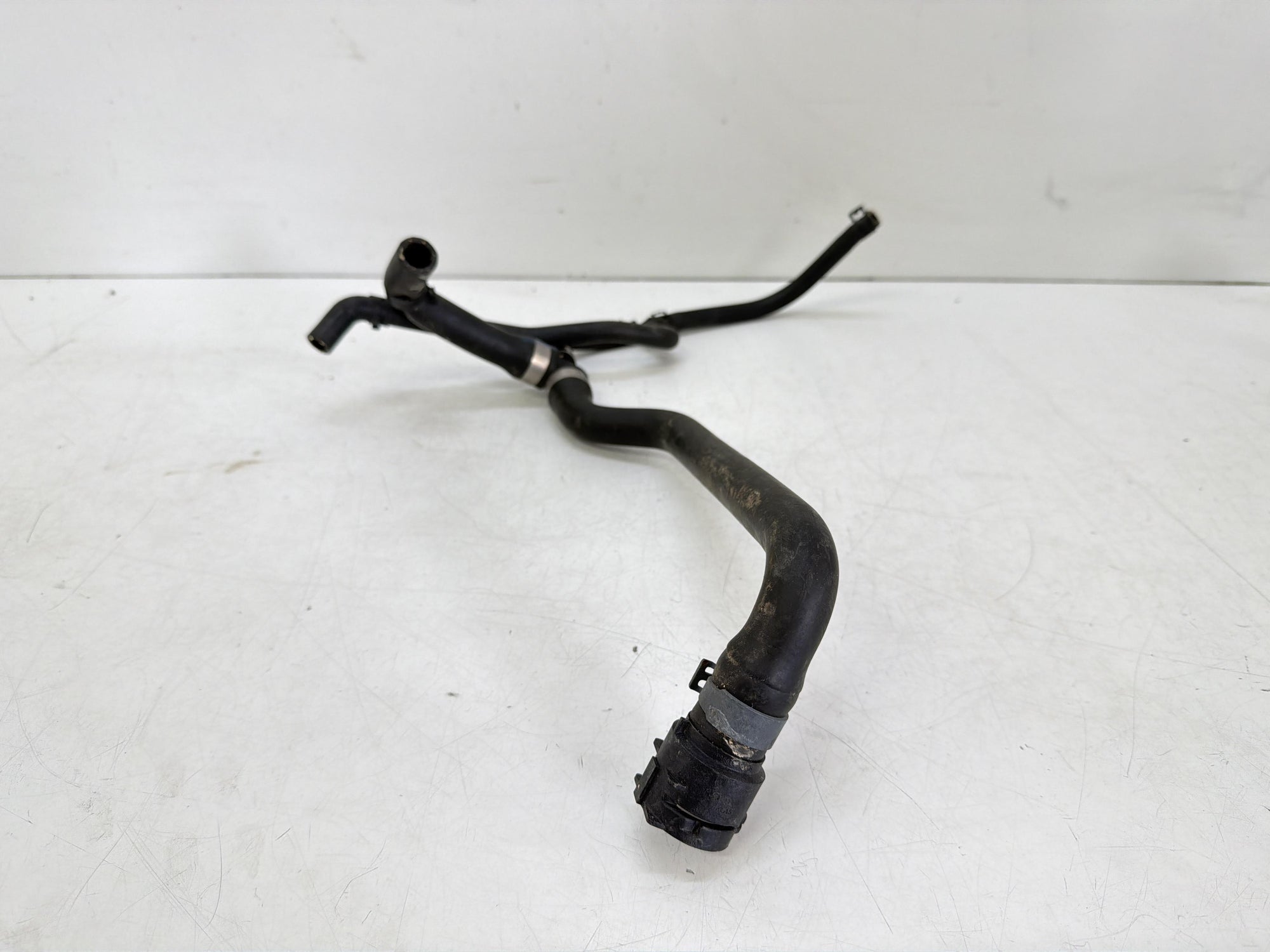 Immagine 1