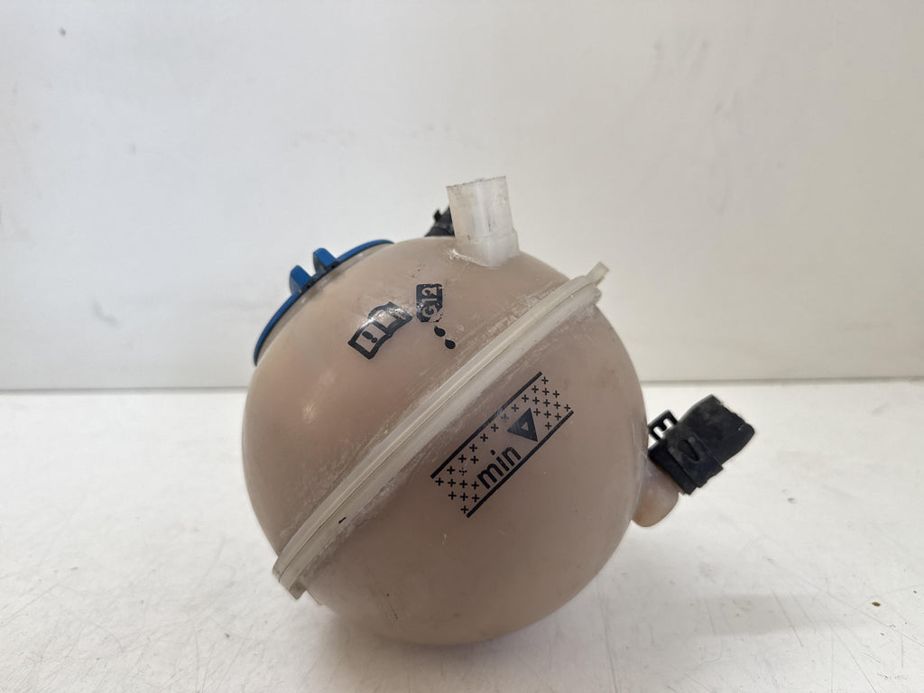 Immagine 7